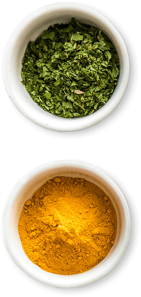 Spices used in Guddu Catering's dishes